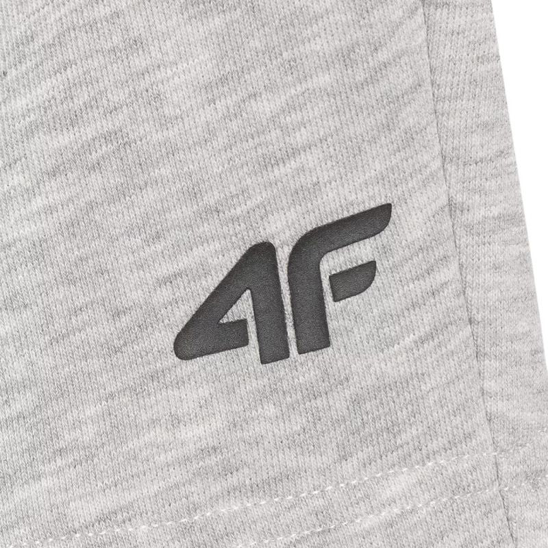 Shorts 4F CAS M543 M 4FWMM00TSHOM543 27M Sport/Clothing Your Sports Performance