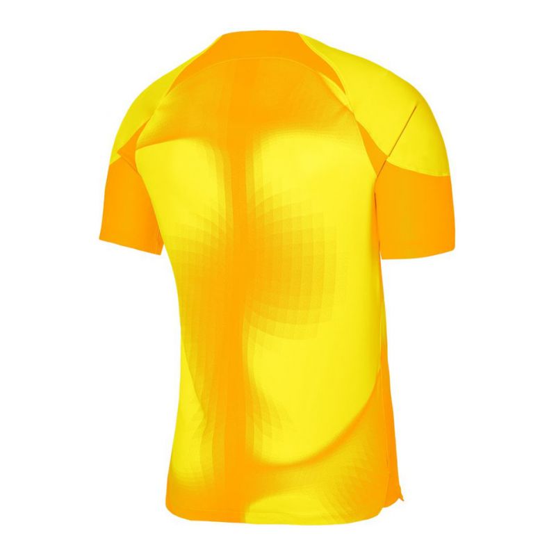 Nike Dri-FIT ADV Gardien 4 M DH7760-719 goalkeeper jersey Clothing/Football Nike