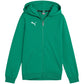 Puma teamGoal Casuals Hooded Kids' Sweatshirt Green 658596 05 In preparation Your Sports Performance