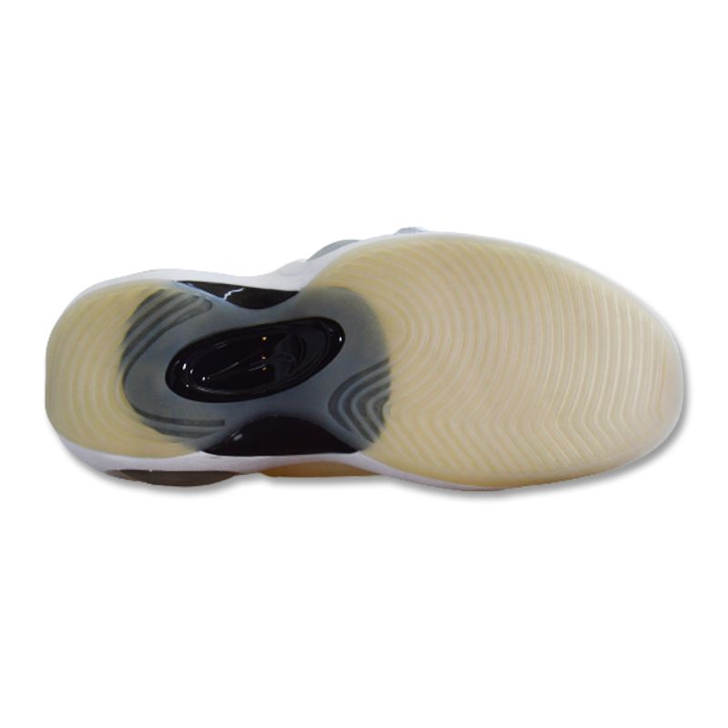 Nike Air Zoom Flight 95 Beige Basketball Shoes - DX5505-100 Nike