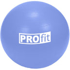 Profit 65cm gym ball DK 2102 Accessories/Training equipment Your Sports Performance