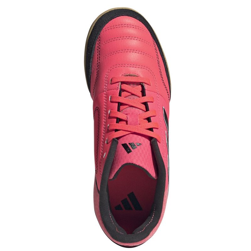 Adidas Top Sala Competition Jr IG8761 shoes Footwear/Football/JR/IN Adidas
