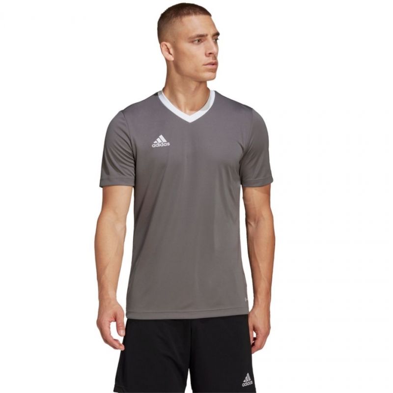 T-shirt adidas Entrada 22 Jersey M HE1574 Clothing/Football Adidas