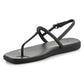 Crocs Miami Thong Flip W 209793-001 Footwear/Lifestyle/Crocs Crocs