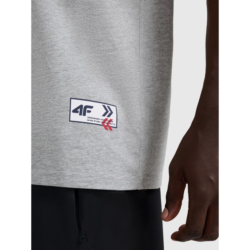 Men's oversize printed T-shirt 4F 4FRAW25TTSHM3257-27M 4f