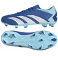 Adidas Predator Accuracy.3 L FG M GZ0015 football shoes Footwear/Football Adidas