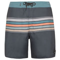 Men’s Protest PRTKALFORD beach shorts