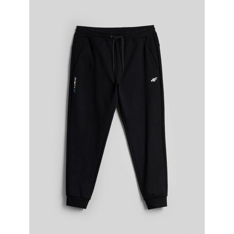 Men's jogger sweatpants 4F 4FRAW26TTROM2175-20S