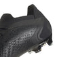 Adidas Predator Accuracy.1 Low FG M GW4575 football shoes Footwear/Football Adidas