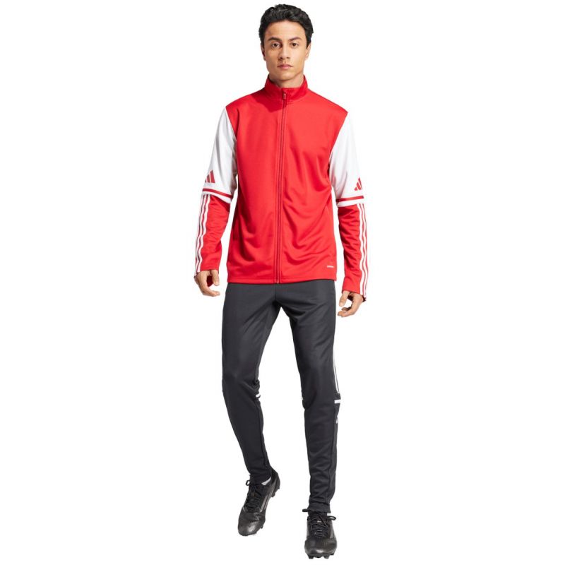 Adidas Squadra 25 Training M sweatshirt JD2979 Clothing/Football Adidas