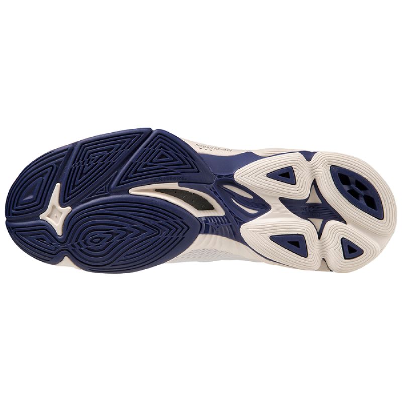 Mizuno Wave Lightning Z7 M V1GA220043 volleyball shoes Footwear/Volleyball/Men Mizuno