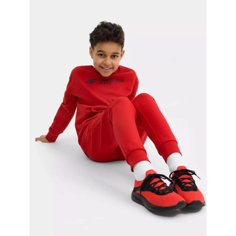 Sweatshirt 4F Jr. 4FJSS23TSWSM222-62S Clothing/Lifestyle/4F 4F