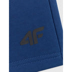 Men's sweatpants 4F 4FRSS26TSHOM0970-30S 4f