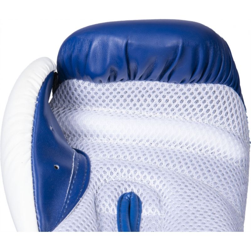 RTT-NK3 Boxing Gloves Red 10 oz In preparation Your Sports Performance