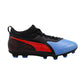 Puma ONE 19.3 HG M 105588 01 shoes Footwear/Football Puma