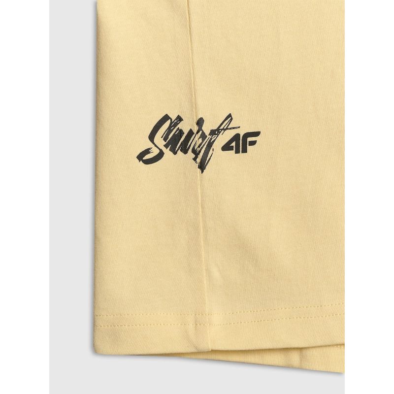 Men's regular printed T-shirt 4F 4FRSS26TTSHM4301-73S