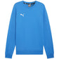 Puma Team Goal Casuals Crew Neck Sweat M 658592 02 Clothing/Training Puma