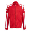 Adidas Squadra 21 Training Youth Jr GP6458 sweatshirt Clothing/Football Adidas
