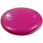 Inflatable disk PROFIT DK 2111 Accessories/Training equipment Your Sports Performance