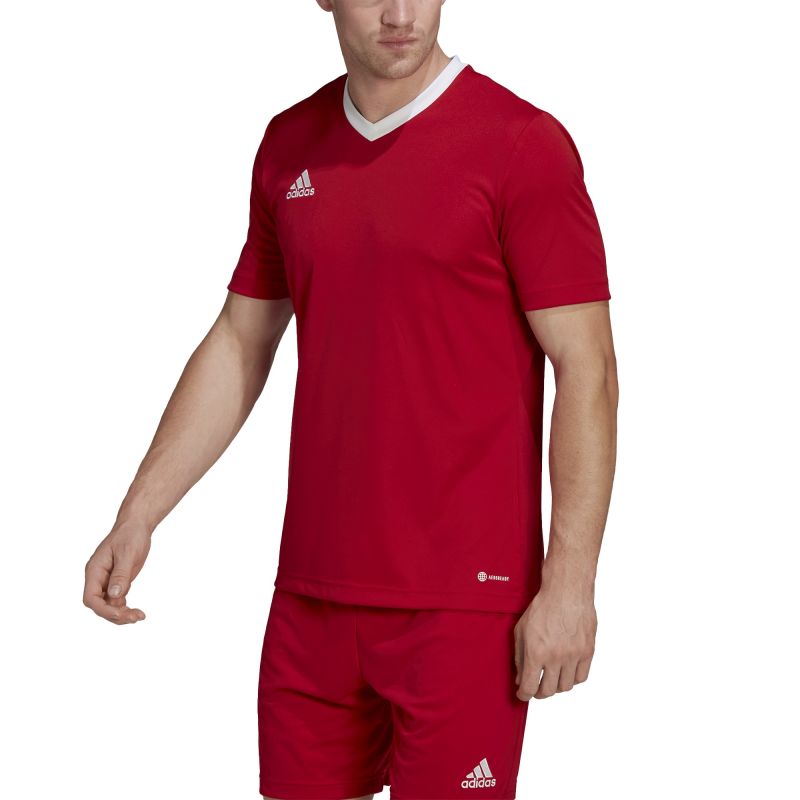 T-shirt adidas Entrada 22 M H61736 Clothing/Football Adidas