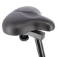 Magnetic bike purple HMS M9239V