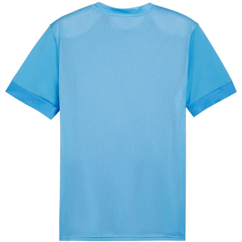 Puma teamGoal Matchday Jersey M 705747 18 Clothing/Football Your Sports Performance