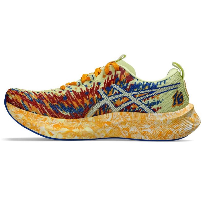 Asics Noosa Tri 16 Shoes Footwear/Running/Men/Road Your Sports Performance