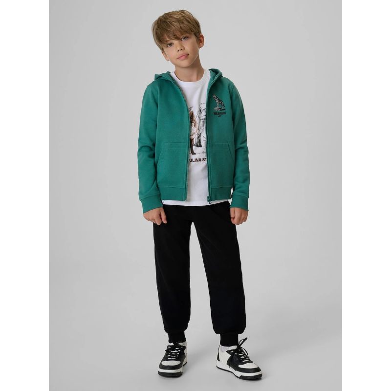 Boy's regular hooded sweatshirt 4F 4FJKAW26TSWSM3153-46S