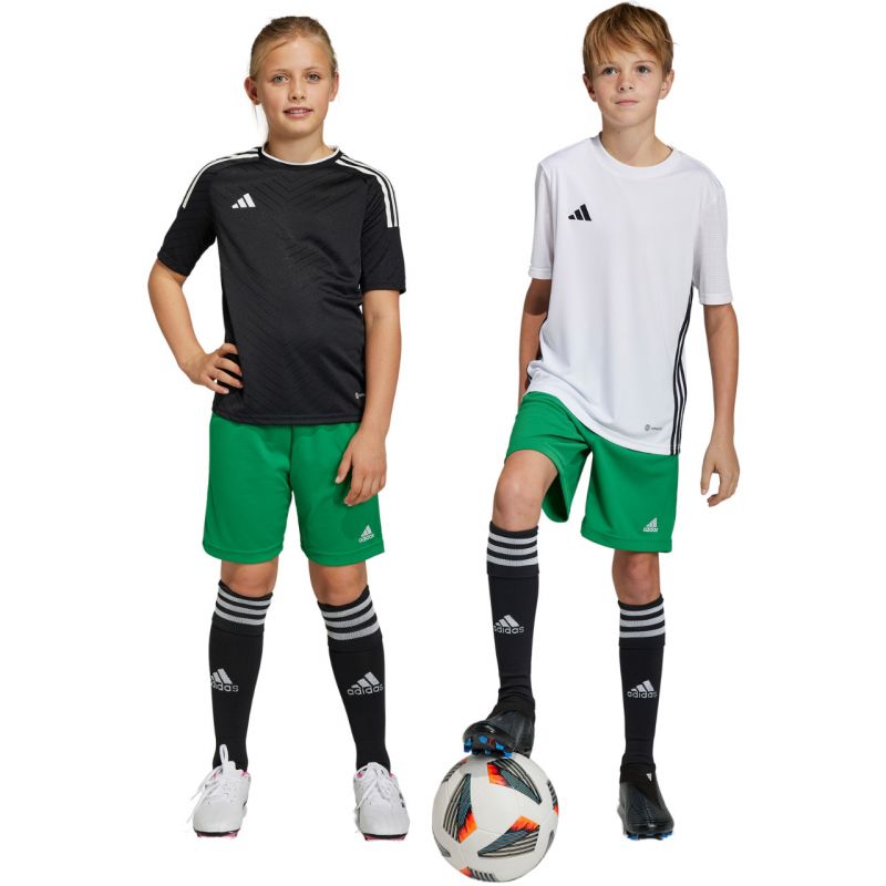 Shorts adidas Entrada 22 Jr IC7410 Clothing/Football Adidas