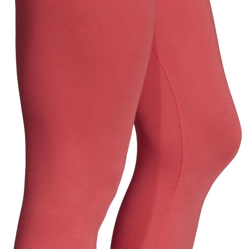 Adidas W Essentials Linear Tight W leggings DU0680 Clothing/Training Adidas