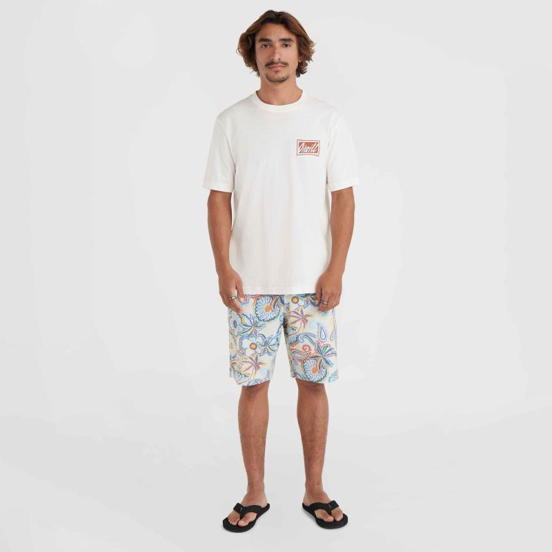 O'Neill Beach Graphic T-Shirt M 92800613968 ONeill