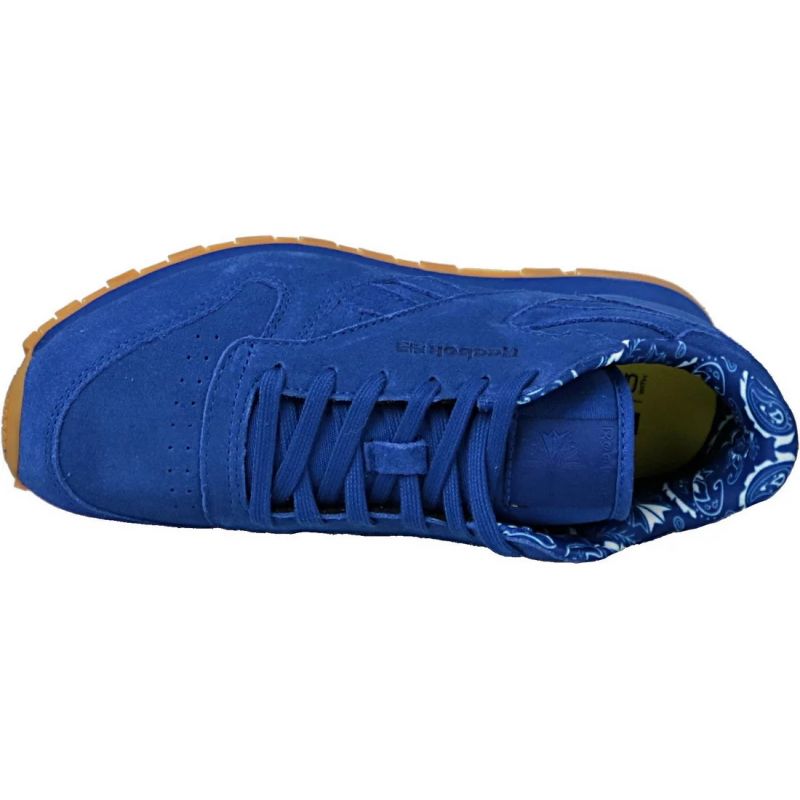 Reebok Classic Leather TDC JR BD5052 shoes Footwear/Lifestyle Reebok