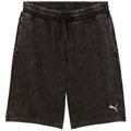 Puma Ess Elevated Relaxed Wash M 688052 01 shorts Clothing/Training Puma