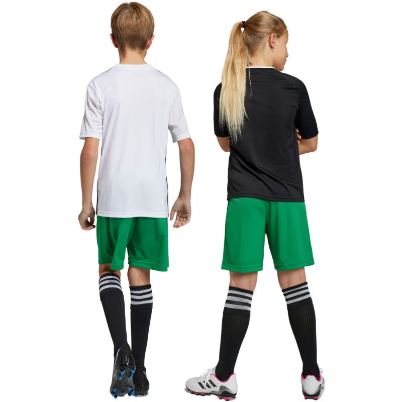 Shorts adidas Entrada 22 Jr IC7410 Clothing/Football Adidas