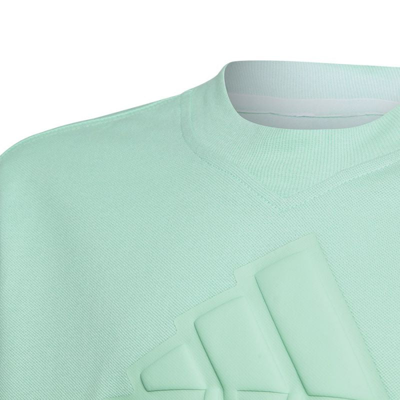 T-shirt adidas FI Logo Tee Jr IC9532 Clothing/Training Adidas