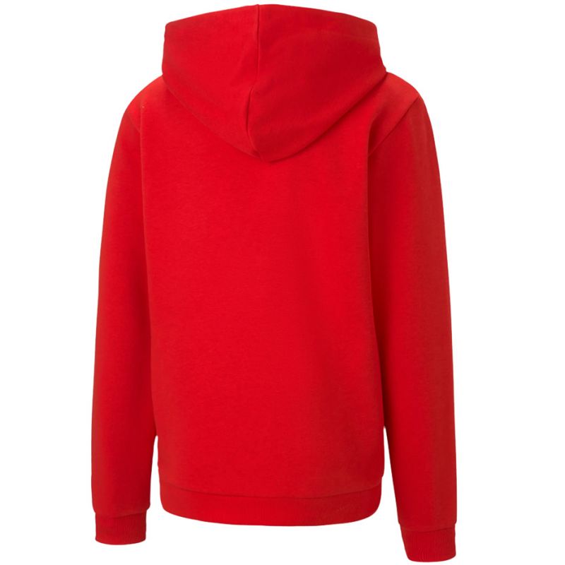 Puma teamGOAL 23 Casuals Hoody Jr 656711 01 Clothing/Running Puma