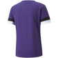 Puma teamRise Jersey M 704932 10 Clothing/Training Puma