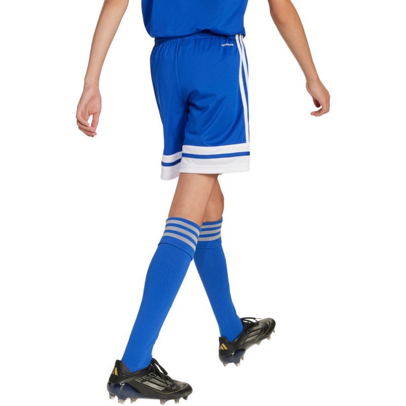 Shorts adidas Squadra 25 Jr JJ2419 Clothing/Football Adidas