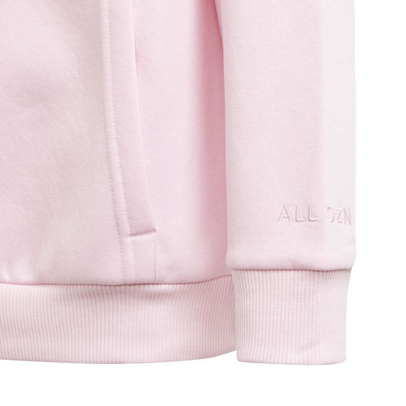 Adidas Allszn Gfx HD Jr sweatshirt IN2844 Clothing/Lifestyle Adidas
