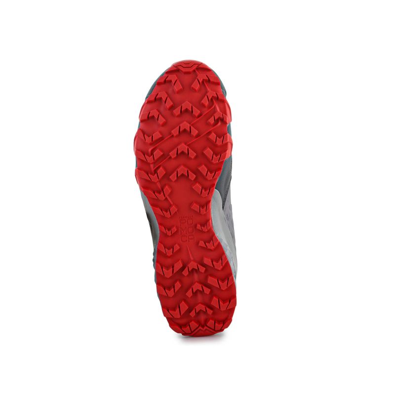 Dynafit Feline Sl M 64053-0739 running shoes Footwear/Running/Men/Dynafit Your Sports Performance
