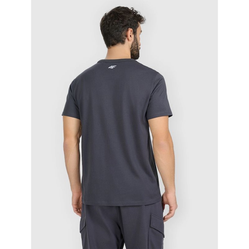 Men's regular printed T-shirt 4F 4FRAW25TTSHM3845-22S 4f