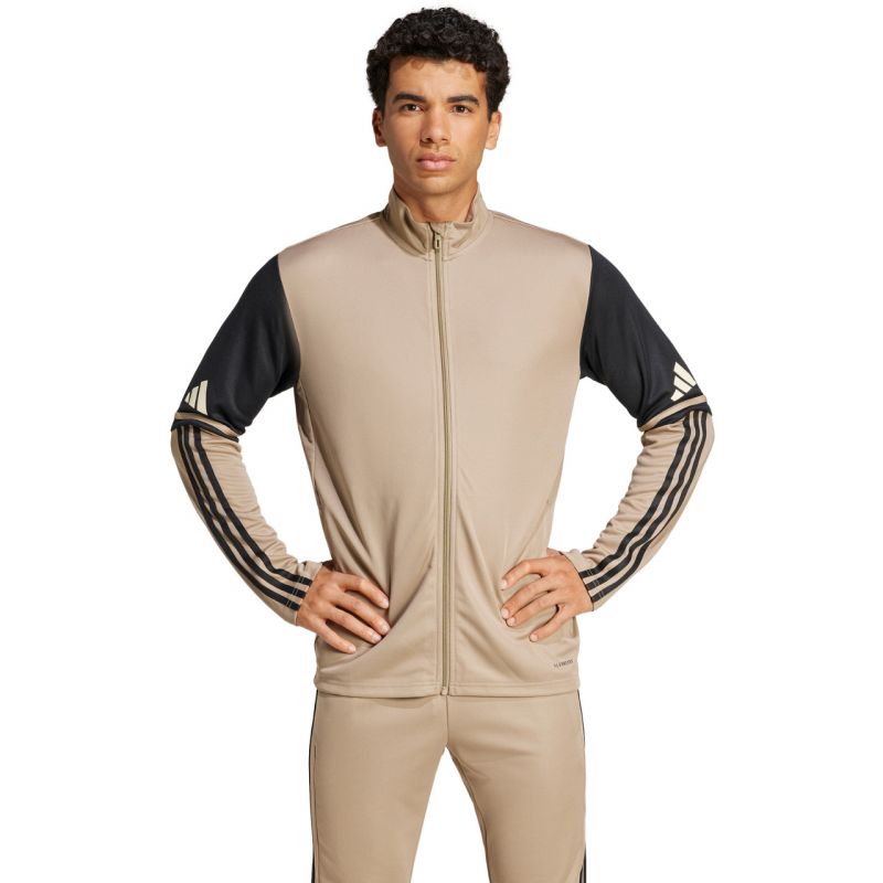 Adidas Squadra 25 Training M JP3391 sweatshirt adidas