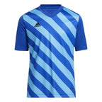 T-shirt adidas Entrada 22 Graphic Jersey Jr HF0130 Clothing/Training Adidas