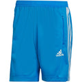 adidas Primeblue Designed To Move Sport 3-Stripes M HF7189 shorts Clothing/Training Adidas