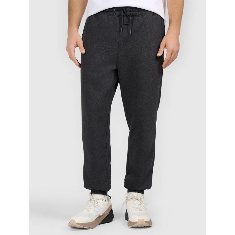Men's jogger sweatpants 4F 4FRAW25TTROM1696-22S 4f