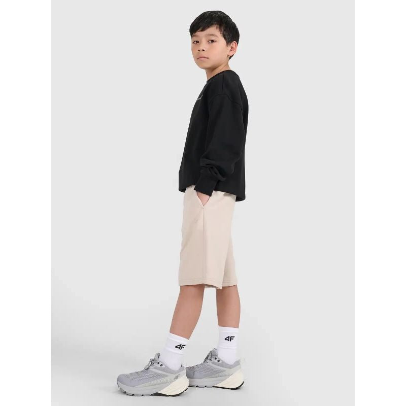Boys' sweatpants 4F 4FJRSS25TSHOM684-83S 4f