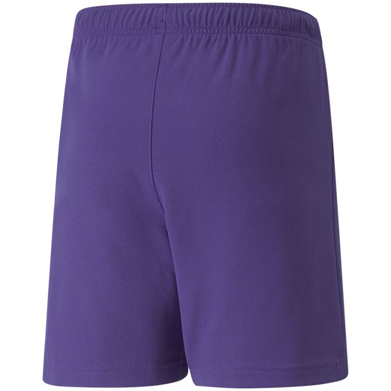 Puma teamRise Short Jr 704943 10 Clothing/Training Puma