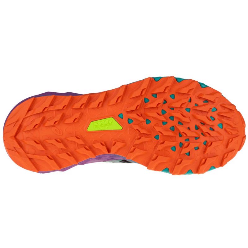 Asics Gel-Trabuco 9 M 1012A904-002 shoes Footwear/Running/Men Asics