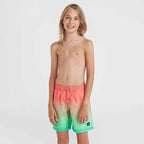 O'Neill Jack Cali Gradient 14'' Swim Shorts Jr 92800613570 Clothing/Swimming/ONeill Your Sports Performance