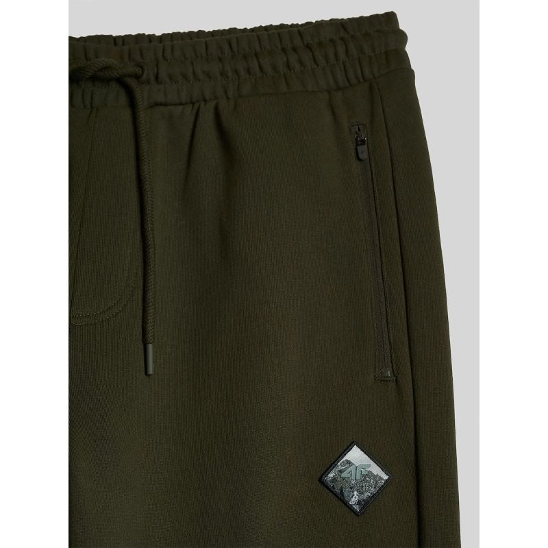 Men's jogger sweatpants 4F 4FRAW26TTROM2092-43S